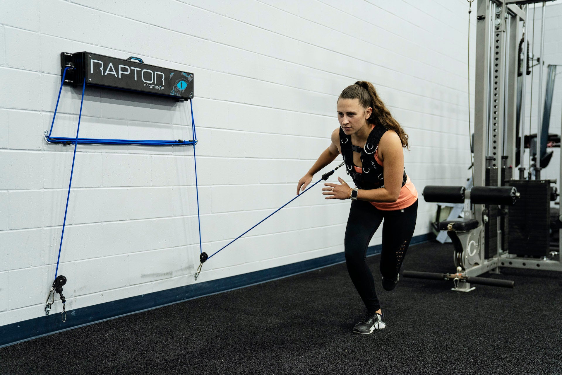 Vertimax cheap resistance bands